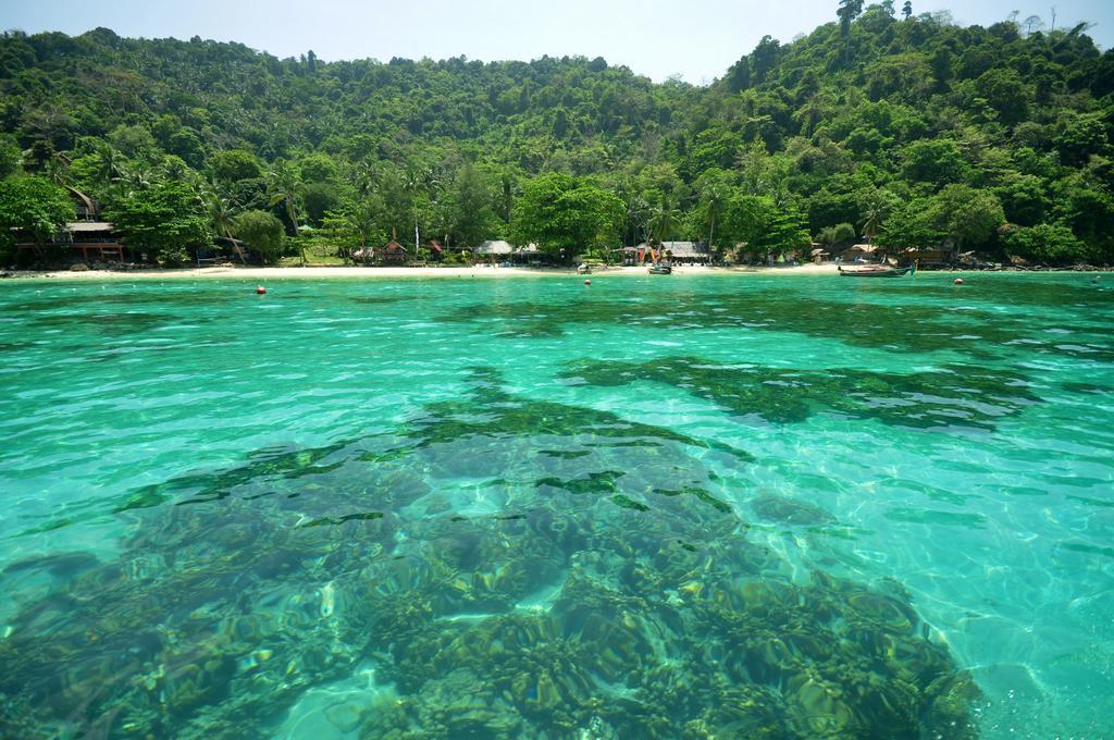 Rantee View Bungalow Phi Phi Don Exterior foto